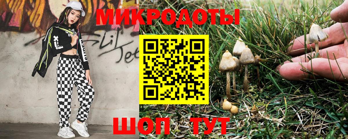 Галлюциногенные грибы Cubensis  Вход с VPN  Магадан  дарнет шоп  Галлюциногенные грибы ЛСД 